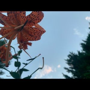 Meet your Posher, Caitlin